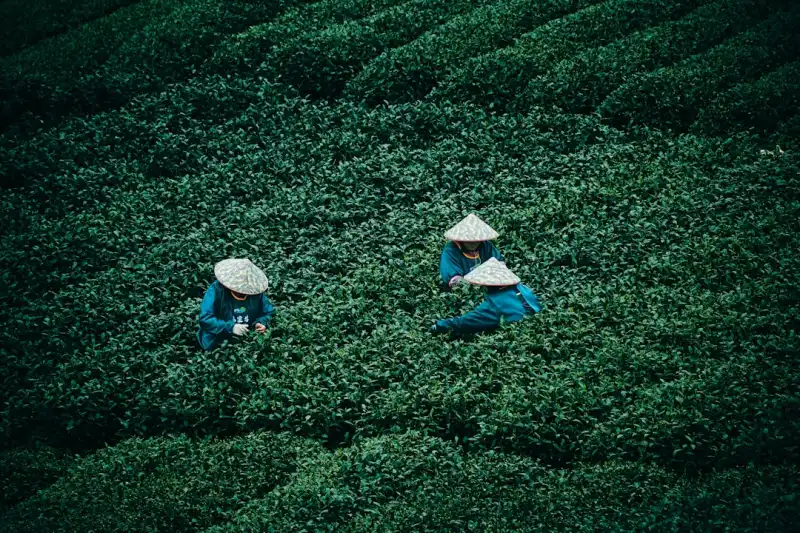 光纤照明系统与LED灯具在商业空间中的组合设计方案