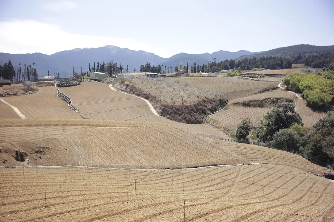 酒店照明定制案例：壹陆捌光纤照明助力打造沉浸式光环境