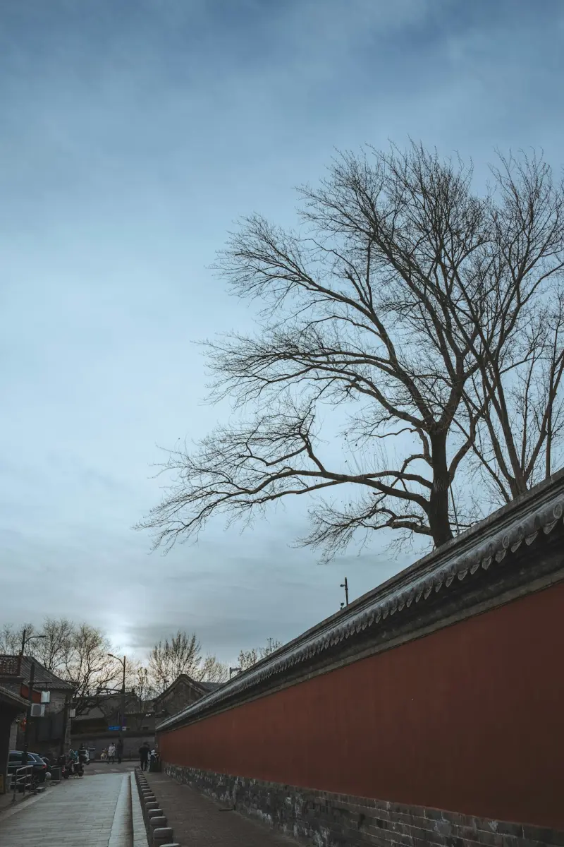 深圳壹陆捌光纤照明：LED灯具与光纤照明系统在酒店空间的节能应用分析