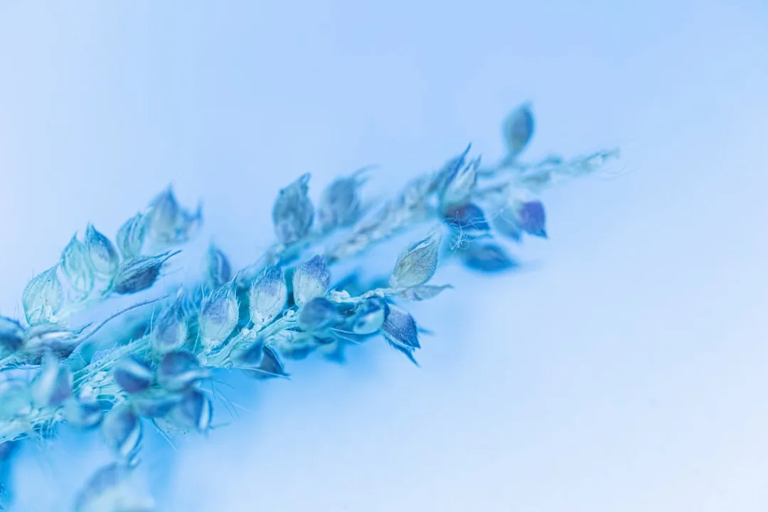 深圳酒店照明工程中光纤照明系统选型与节能效益分析