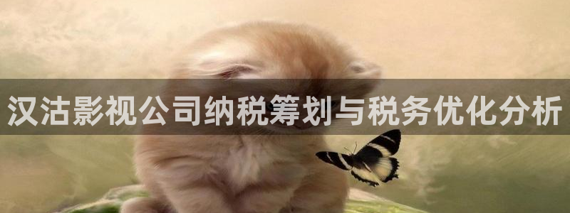 w四虎影院：汉沽影视公司纳税筹划与税务优化分析