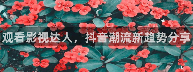 四虎影院成熟人：观看影视达人，抖音潮流新趋势分享