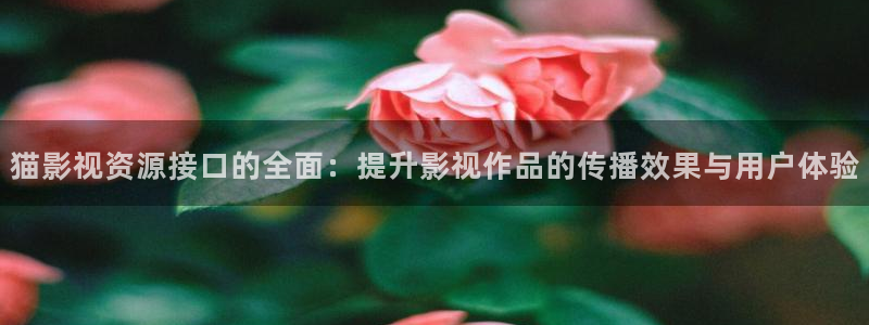 四虎影院在线观看网址