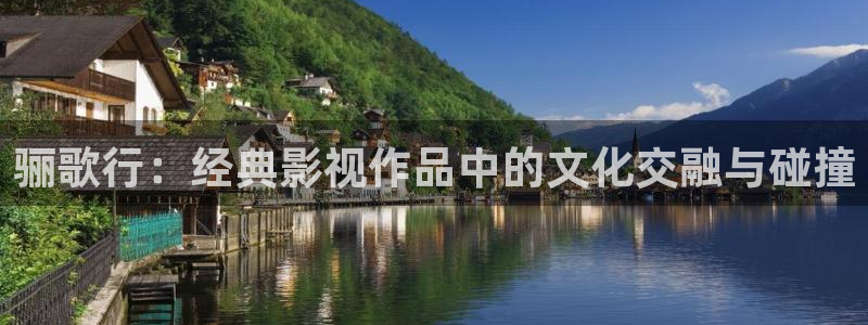 四虎影视网址是什么