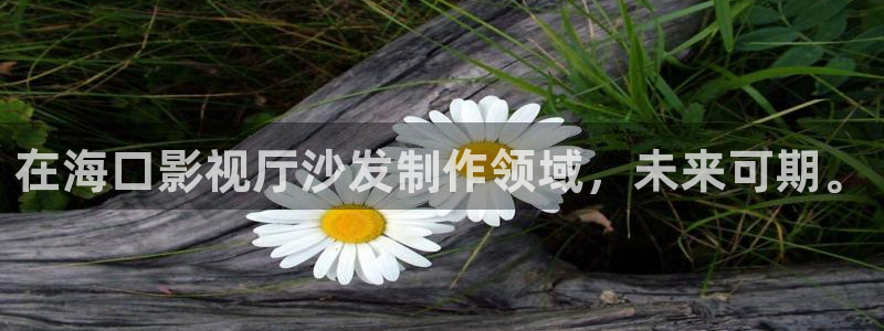 星海之外定档海报