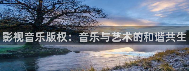 星海之外定档海报